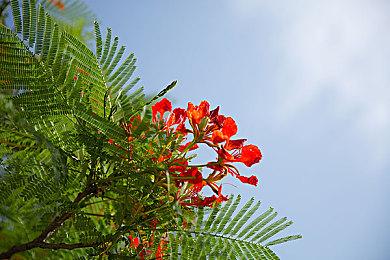 《仁王3》领衔！光荣公布TGS 2025参展游戏阵容